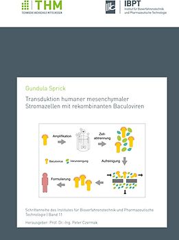Transduktion humaner mesenchymaler Stromazellen mit rekombinanten Baculoviren