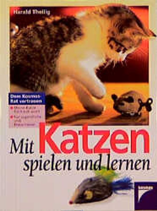 Mit Katzen spielen und lernen