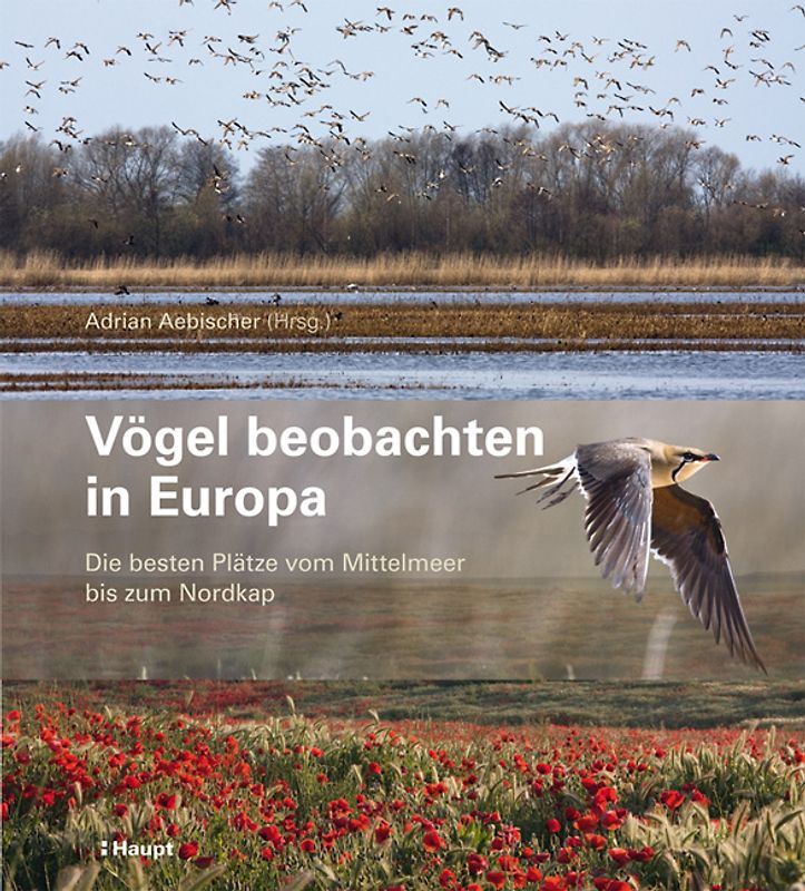 Vögel beobachten in Europa