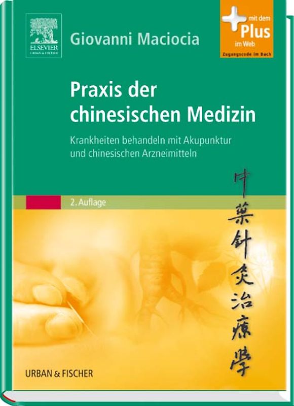 Praxis der chinesischen Medizin