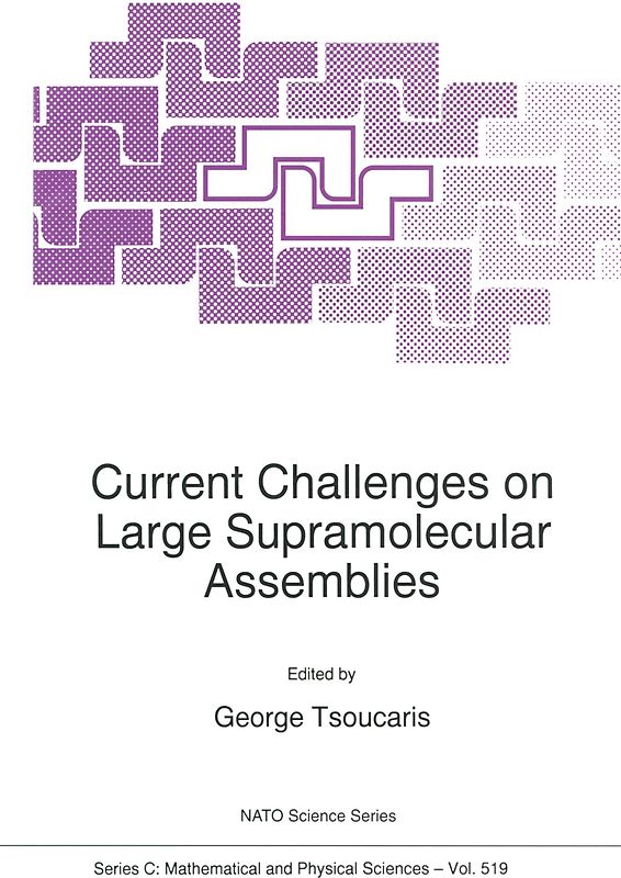 Current Challenges on Large Supramolecular Assemblies
