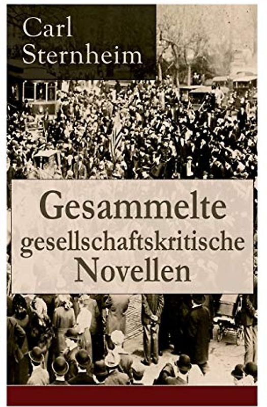 Gesammelte gesellschaftskritische Novellen: Busekow + Napoleon + Schuhlin + Meta + Die Schwestern Stork + Ulrike + Posinsky + Heidenstam + Der ... + Fairfax + Gauguin und van Gogh + Libussa