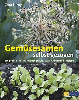 Gemüsesamen selbst gezogen