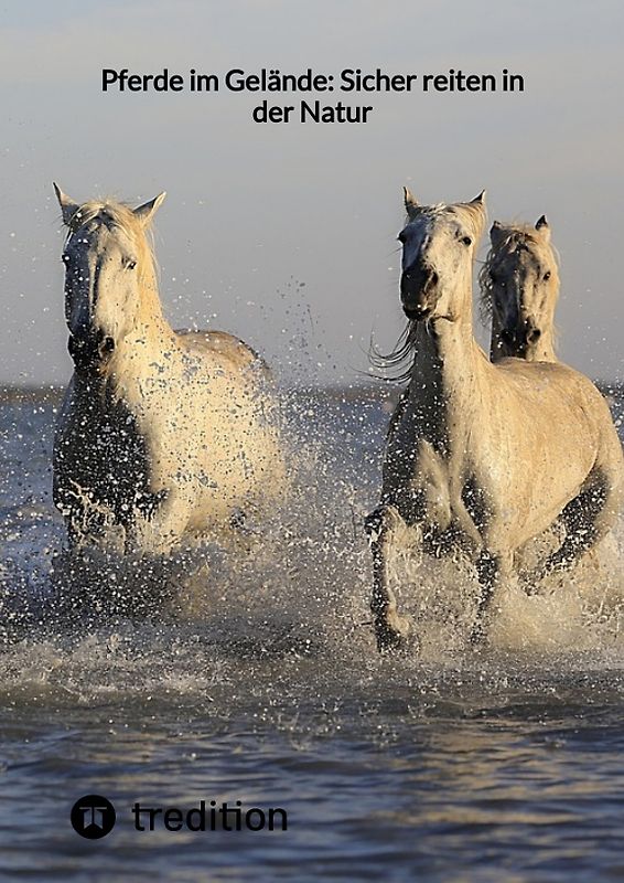 Pferde im Gelände: Sicher reiten in der Natur