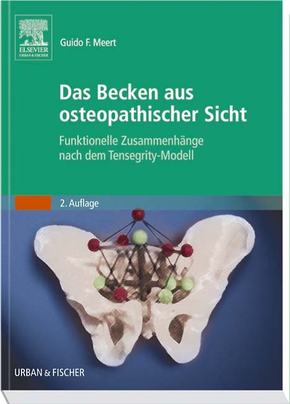 Das Becken aus osteopathischer Sicht