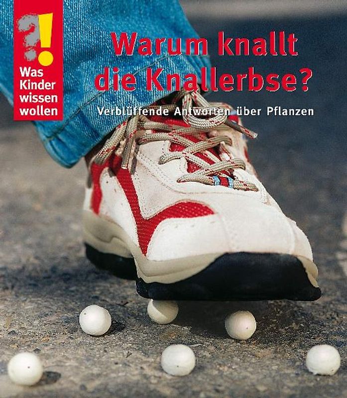 Warum knallt die Knallerbse?
