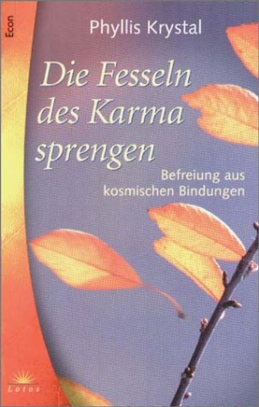 Die Fesseln des Karma sprengen