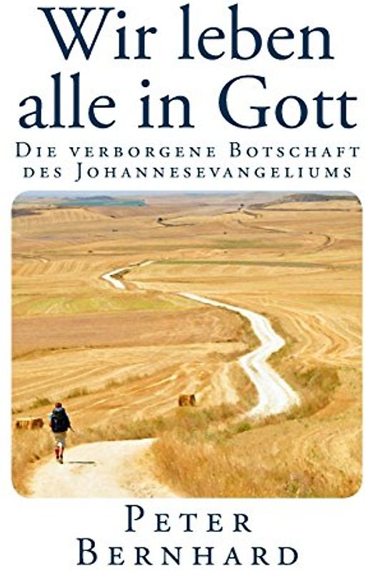 Wir leben alle in Gott: Die verborgene Botschaft des Johannesevangeliums