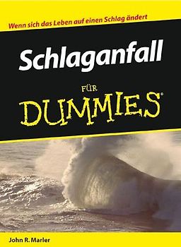 Schlaganfall für Dummies