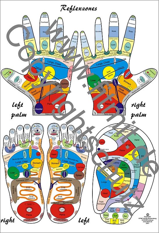 Reflexzones - Reflexology Education Chart