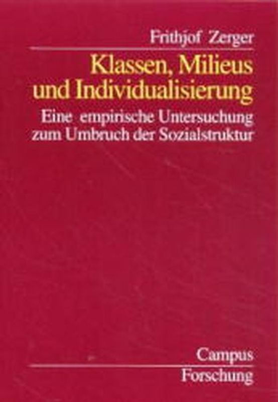 Klassen, Milieus und Individualisierung