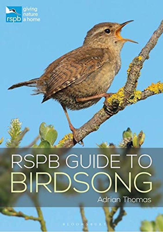 Rspb Guide to Birdsong