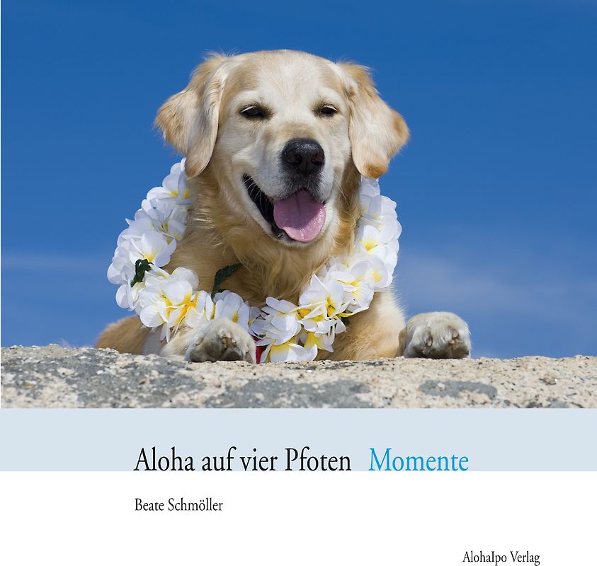 Aloha auf vier Pfoten Momente