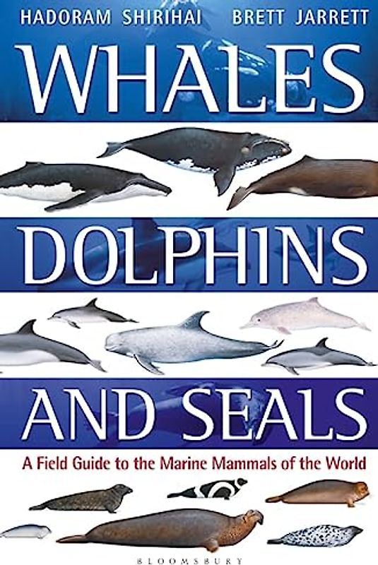 Whales, Dolphins and Seals