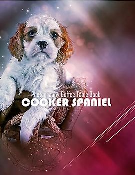 COCKER SPANIEL Photography Coffee Table Book: Cocker Spaniel : 40 Cute Images of these Adorble and lively Dogs - Perfect Gift for all, Coffee Table Book Paperback – June 11,2023.