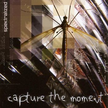 Spektralized - Capture the Moment