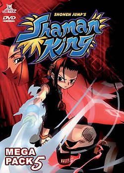 Shaman King - Box 05 (2 DVDs) - Hiroyuki Takei DVD