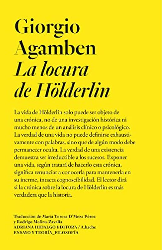 La locura de Hölderlin (LIBROS DIECIOCHISTAS, Band 3)