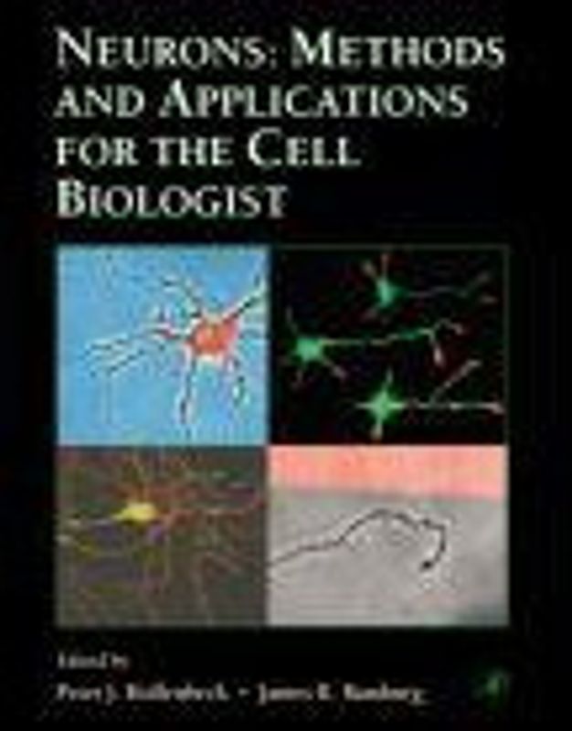 Neurons: Methods and Applications for the Cell Biologist - Peter J. Hollenbeck & James R. Bamburg [Paperback]