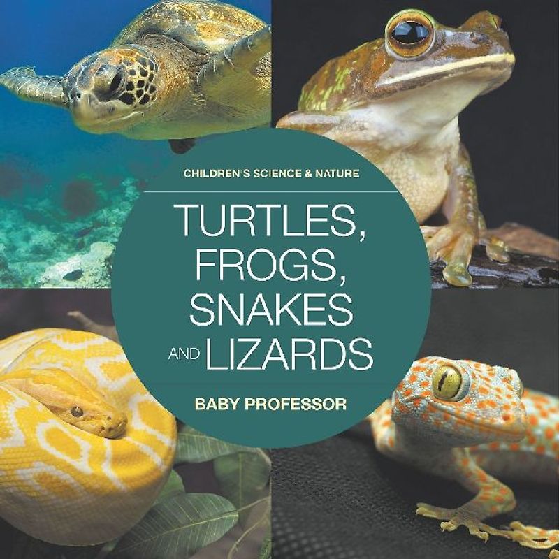 Turtles, Frogs, Snakes and Lizards | Children's Science & Nature