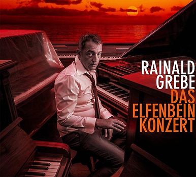 Das Elfenbeinkonzert - Rainald Grebe
