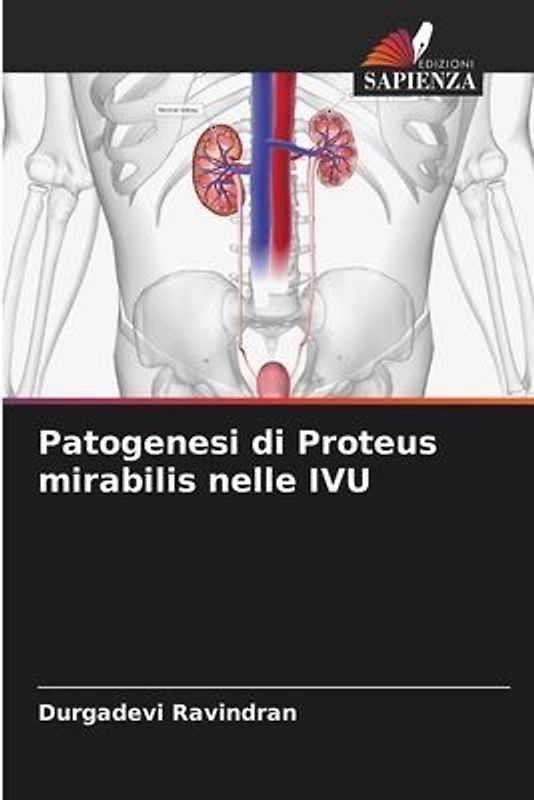 Patogenesi di Proteus mirabilis nelle IVU