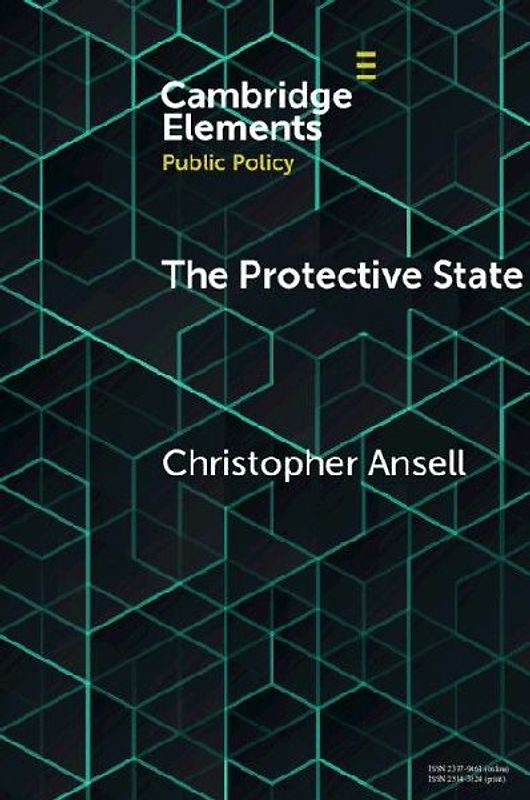 The Protective State