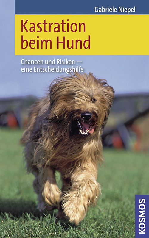 Kastration beim Hund