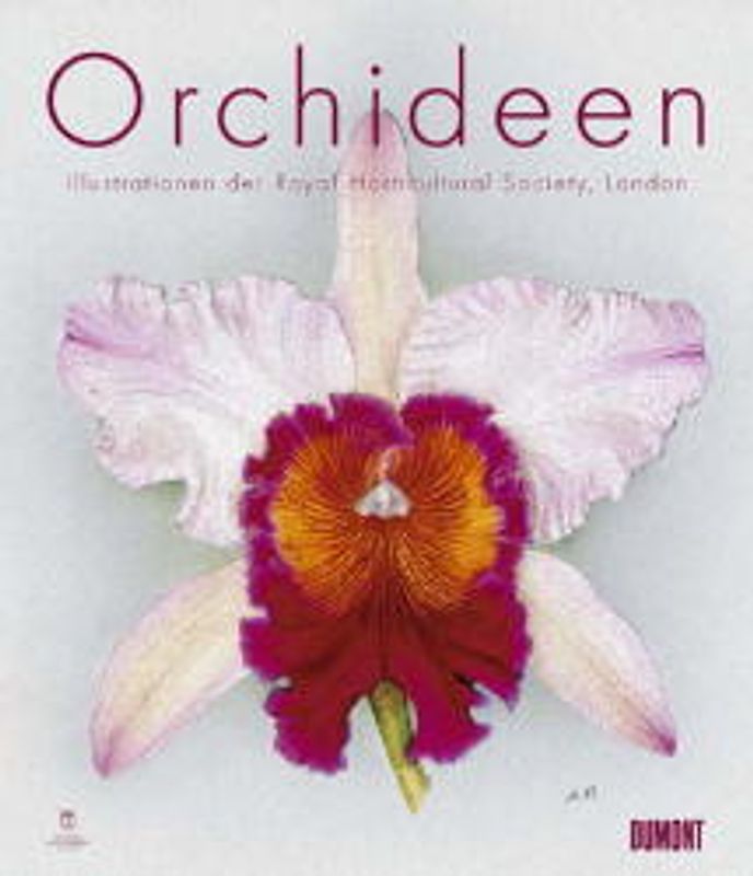 Orchideen