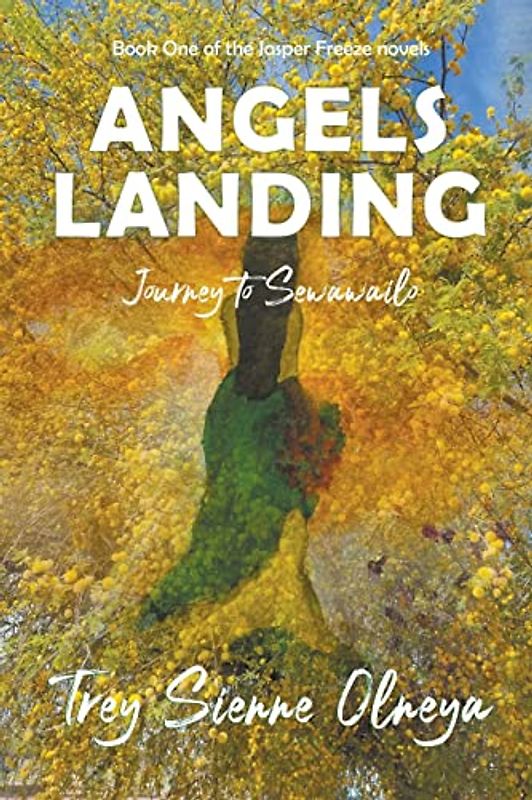 Angels Landing: Journey to Sewawailo (The Jasper Freeze Novels, Band 1)