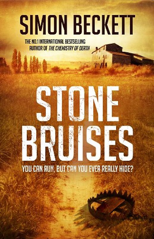 Stone Bruises - Simon Beckett [Hardcover]