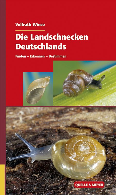 Die Landschnecken Deutschlands