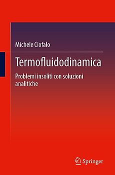Termofluidodinamica