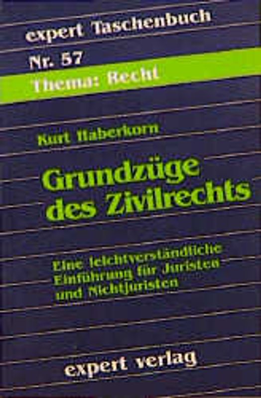 Grundzüge des Zivilrechts