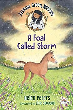 Jasmine Green Rescues: A Foal Called Storm