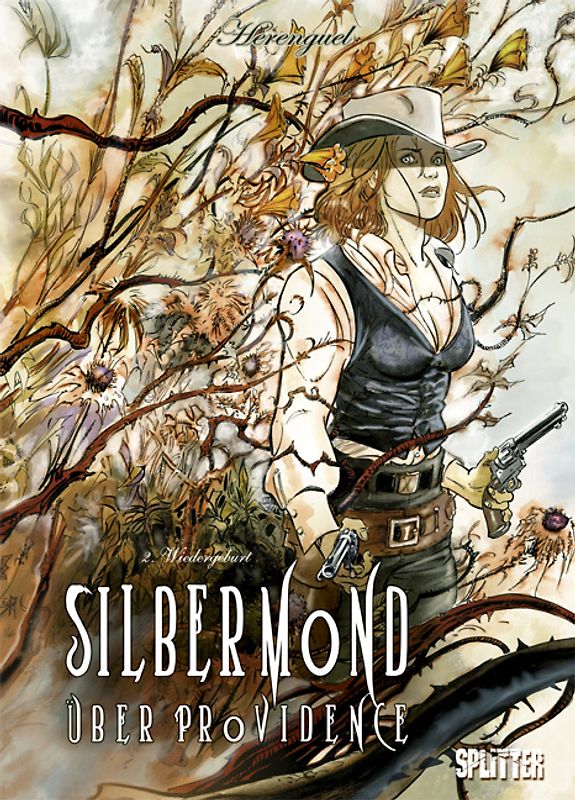 Silbermond über Providence