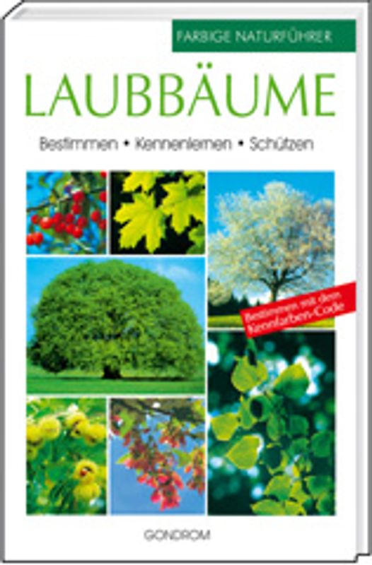 Laubbäume