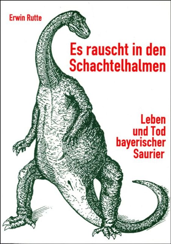 Es rauscht in den Schachtelhalmen
