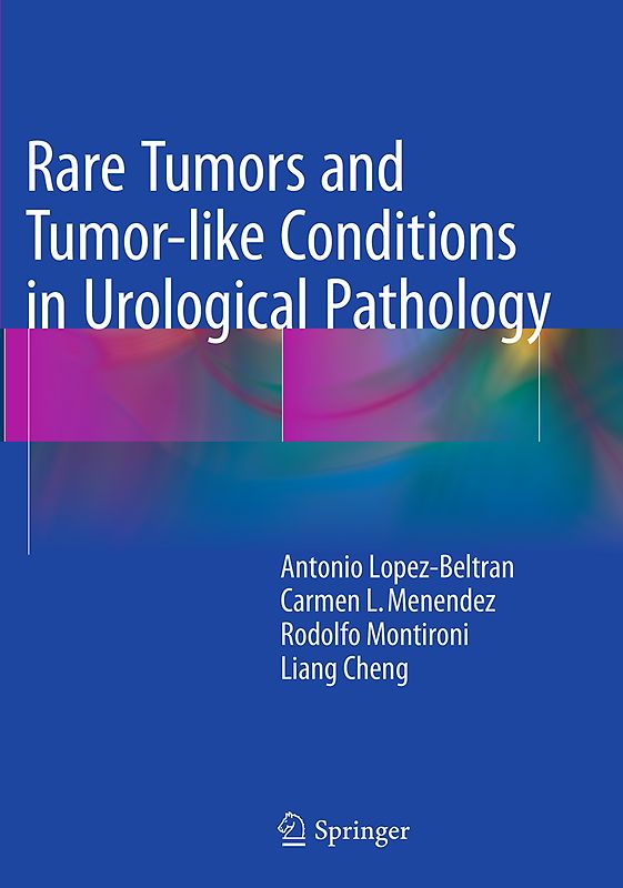 Rare Tumors and Tumor-like Conditions in Urological Pathology