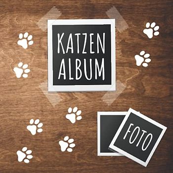 Katzen Album: tolles Fotoalbum für alle Katzenhalter | Erinnerungsalbum | Geschenkidee für Katzenbesitzer | Katzenalbum zum Festhalten schöner Momente mit deiner Katze