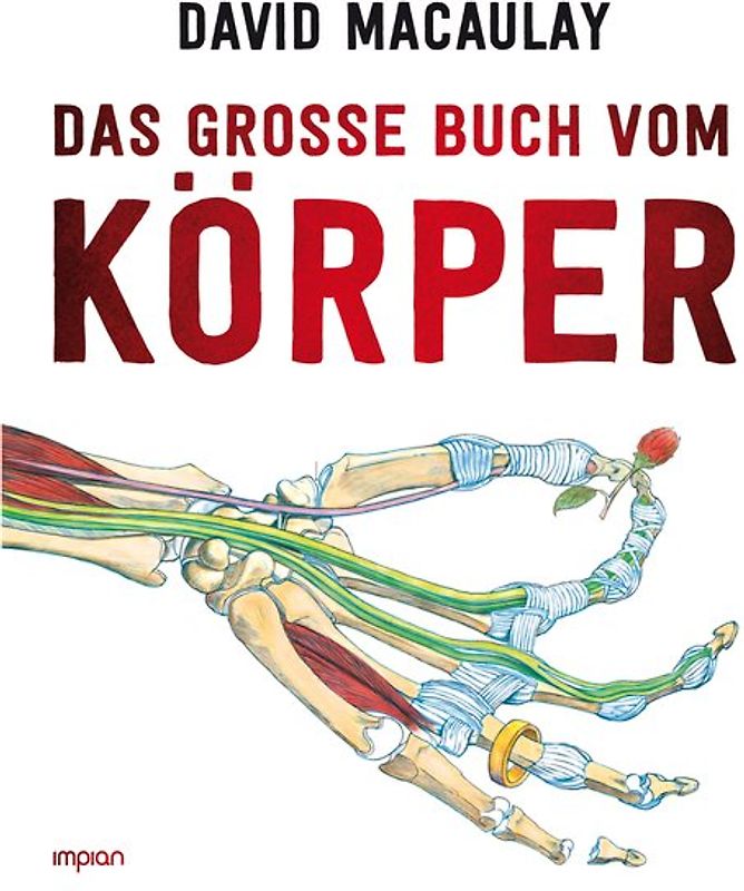Das große Buch vom Körper