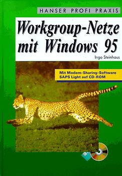 Workgroup-Netze mit Windows 95