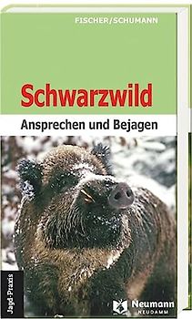 Schwarzwild