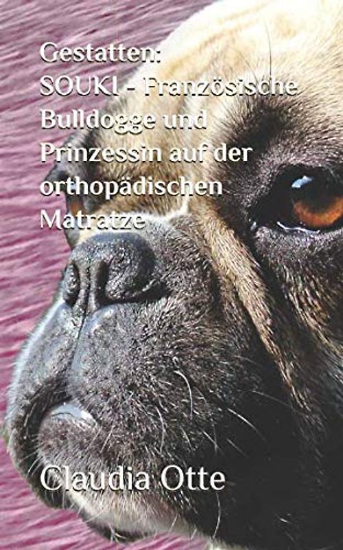 Gestatten: SOUKI - Französische Bulldogge und Prinzessin auf der orthopädischen Matratze