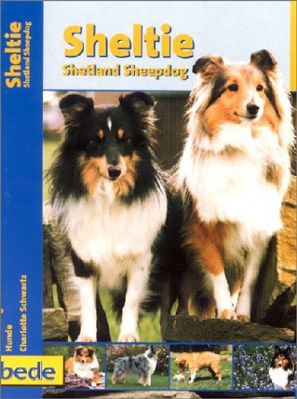 Praxisratgeber Sheltie - Shetland Sheepdog