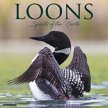 Loons 2026 12 X 12 Wall Calendar