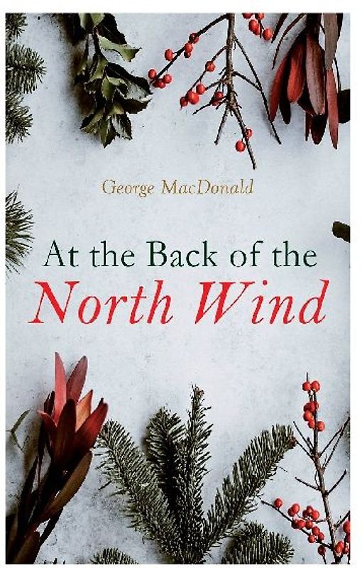 At the Back of the North Wind