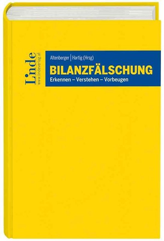 Bilanzfälschung