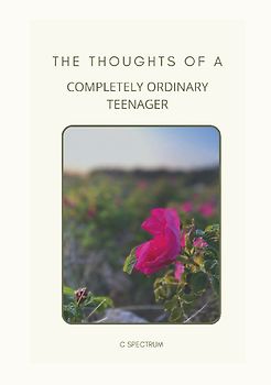 The Thoughts of a Completely Ordinary Teenager