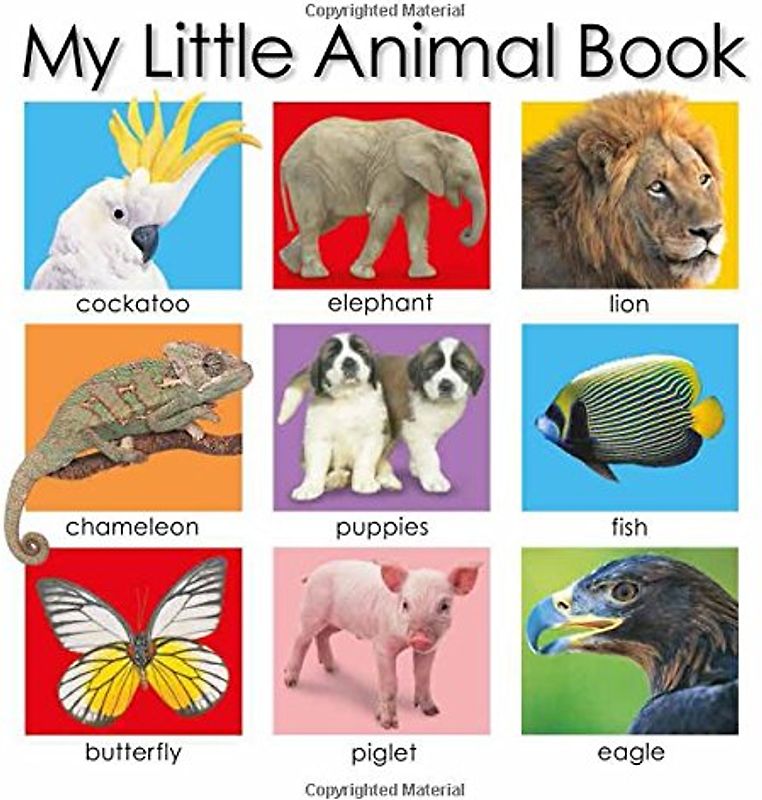 My Little Animal Book - Roger Priddy [cardboard picture book]